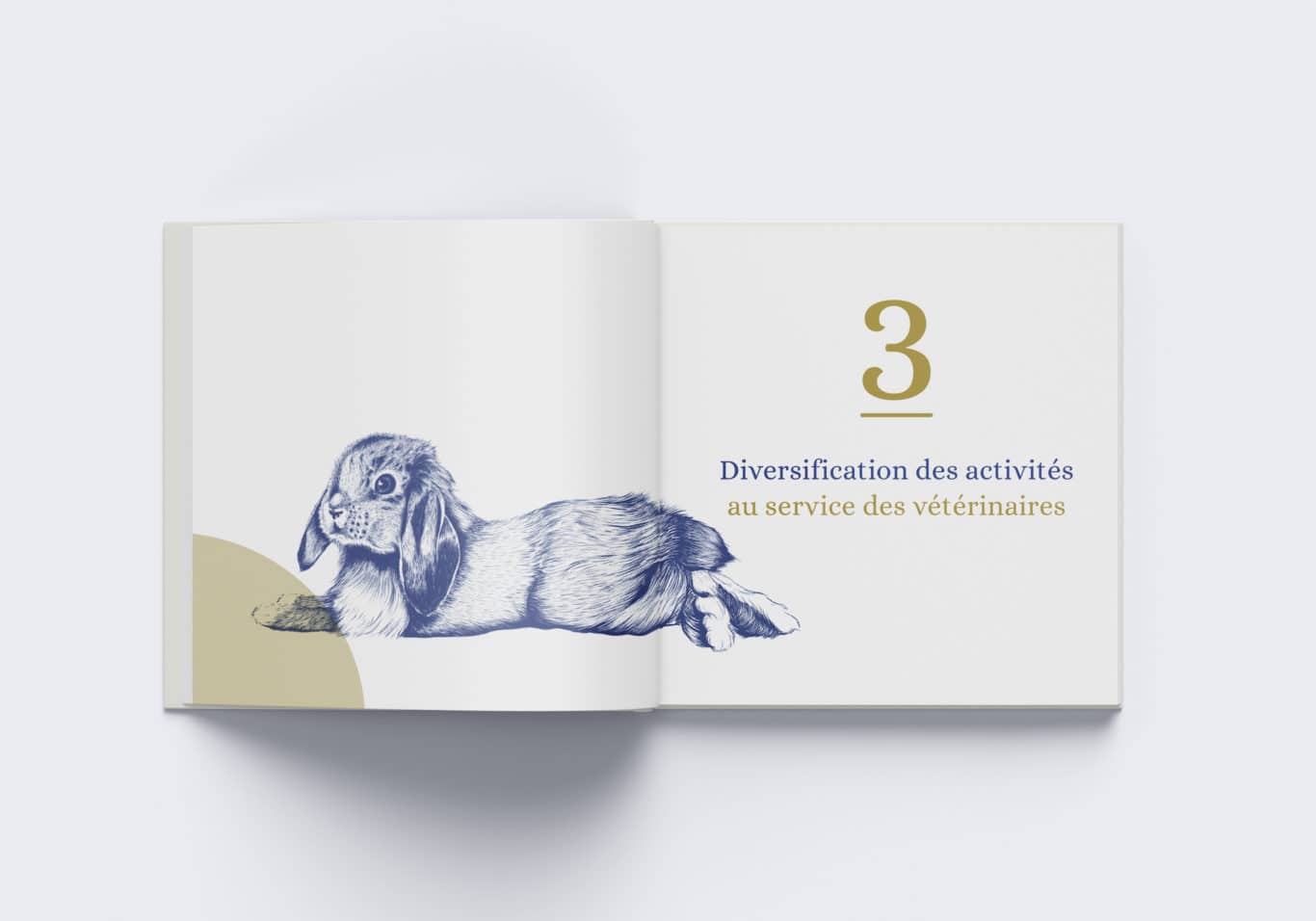 veternity livre chapitre