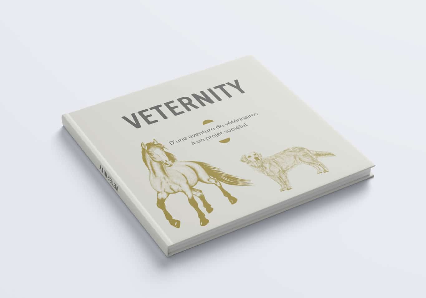 veternity livre couverture