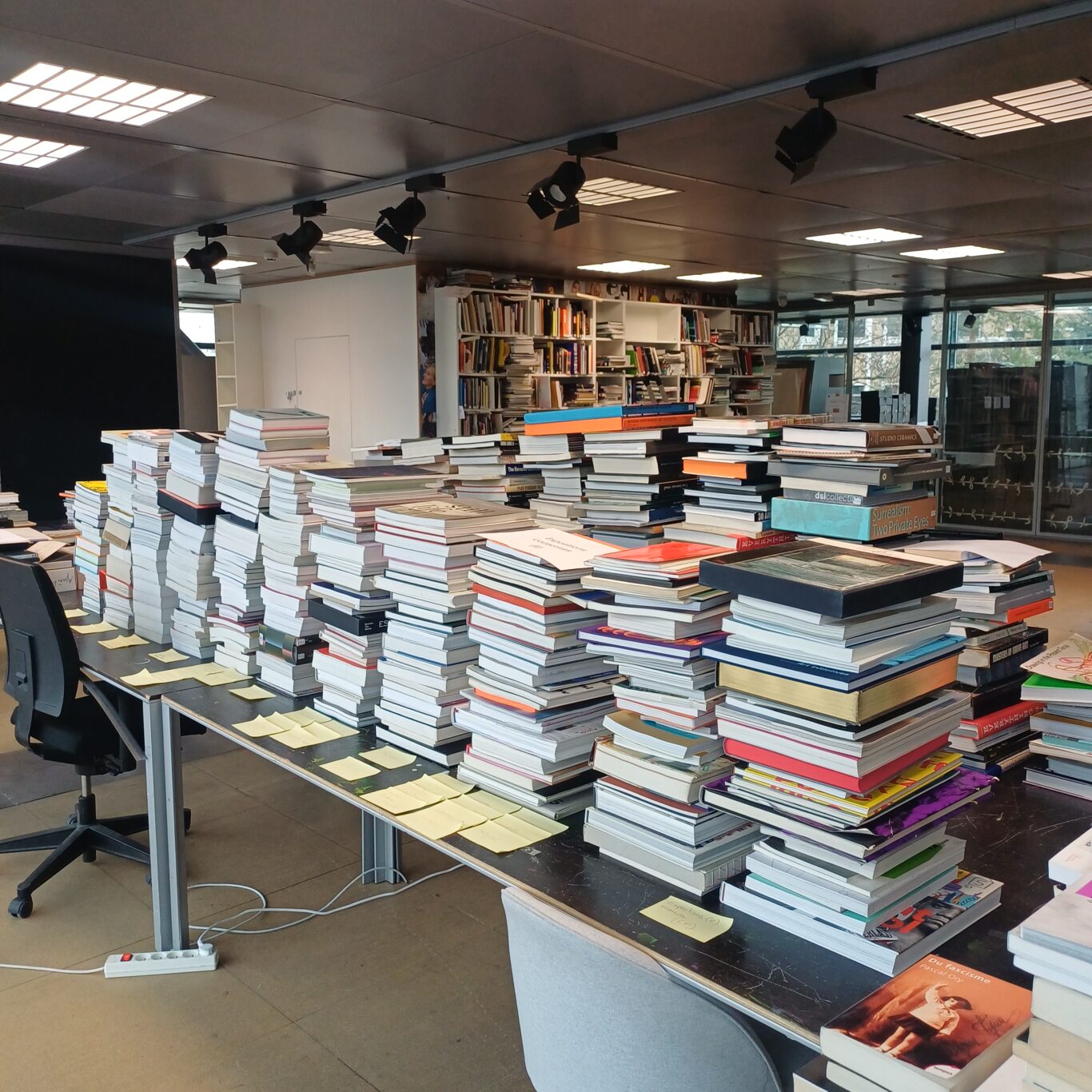 Travail de catalogage des ouvrages de la Fondation Cartier